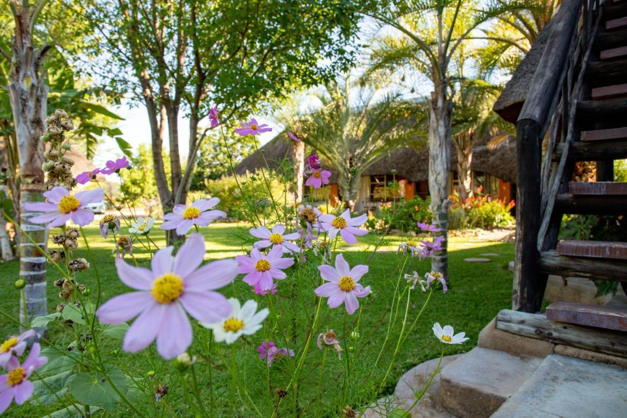 אוצ'יווארונגו Lion'S Den Guesthouse מראה חיצוני תמונה