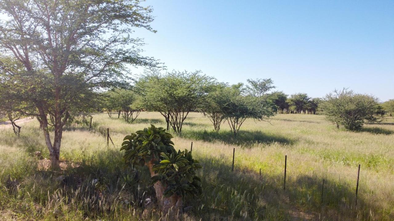 אוצ'יווארונגו Lion'S Den Guesthouse מראה חיצוני תמונה